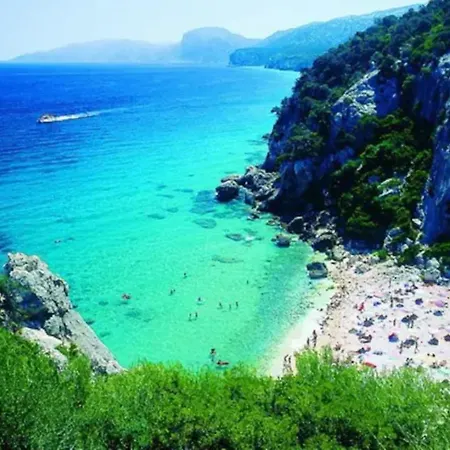 Tatil Evi Fifi *